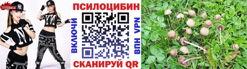 Купить закладки  Грязовец  Галлюциногенные грибы Cubensis 